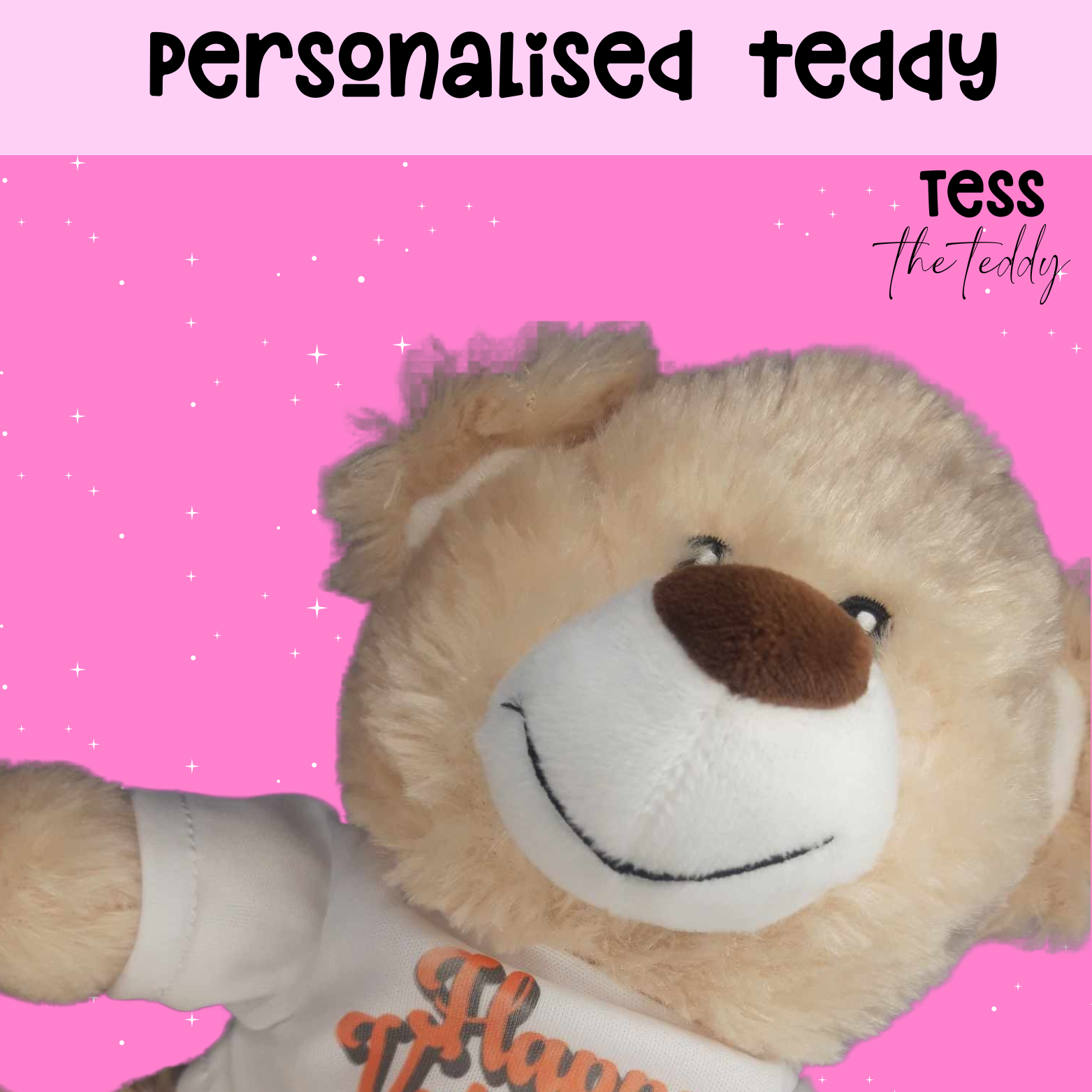 Personalise Your Teddy 